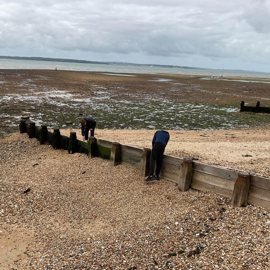 Pupils investigate coastal defences at Hill Head with the shoreline and sea visible in the background.