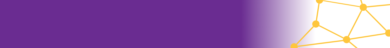 Year 11 purple horizontal bar