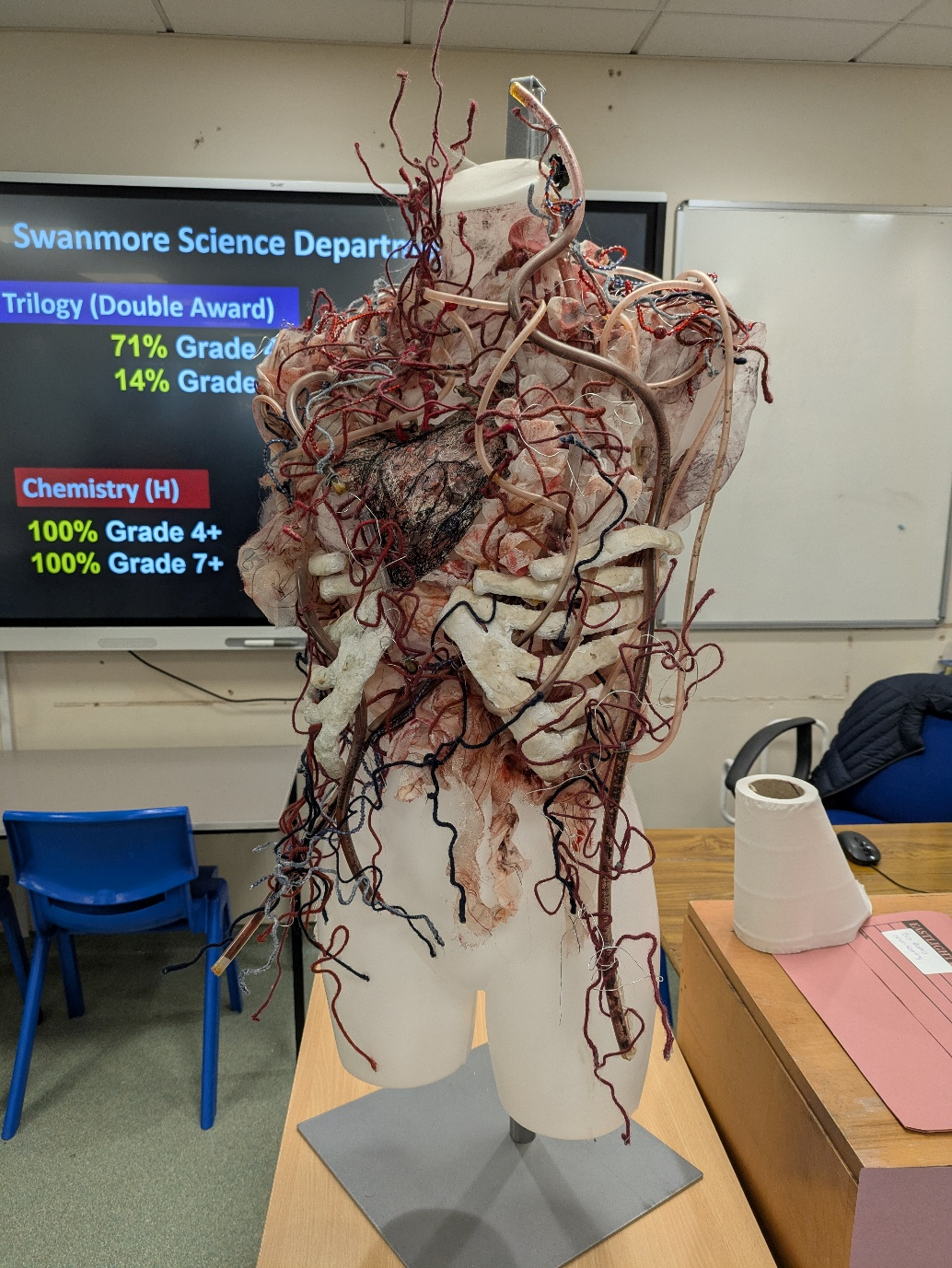 Image shows a detailed anatomical torso model displayed on a classroom desk, featuring exposed organs and an intricate network of red, blue and beige tubes and wires representing blood vessels and internal systems. A screen behind the model displays Swanmore Science Department exam results information, with classroom furniture visible in the background.