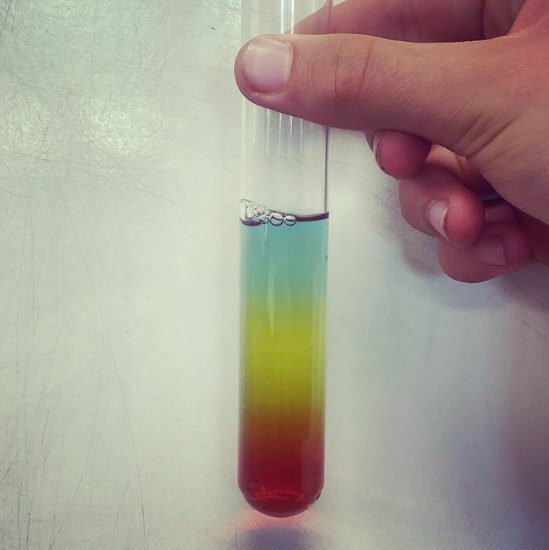 Image shows a hand holding a clear test tube upright against a pale background. Inside the tube are distinct layers of coloured liquid, with red at the bottom, yellow in the middle, and blue at the top. Small bubbles are visible near the surface. The separation of colours suggests a science experiment involving density or liquids that do not mix.