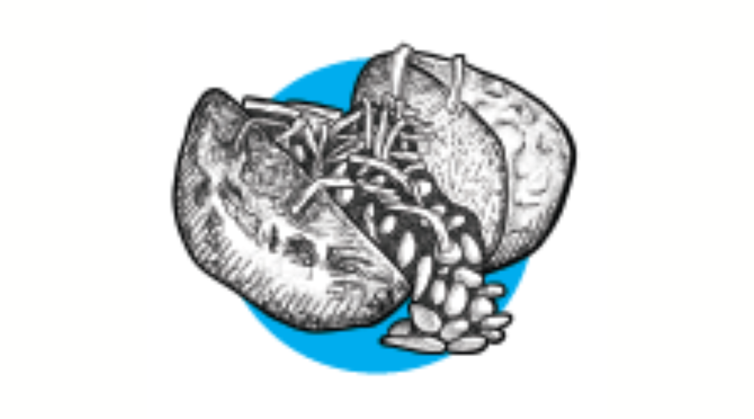 Image shows a sketch-style graphic of a jacket potatoe with cheese and beans