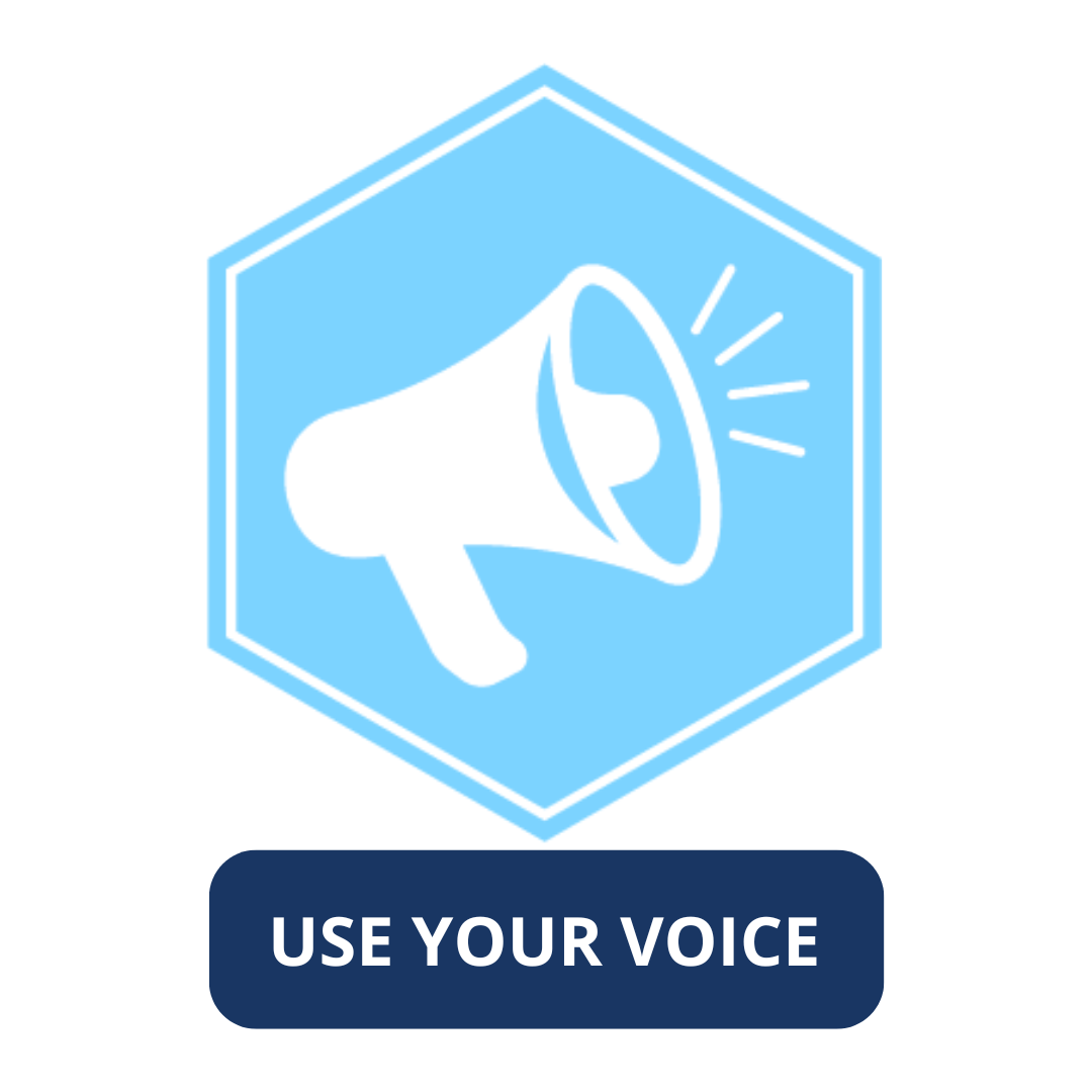 Use Your Voice button. Click to jump to relevant "use your voice" section