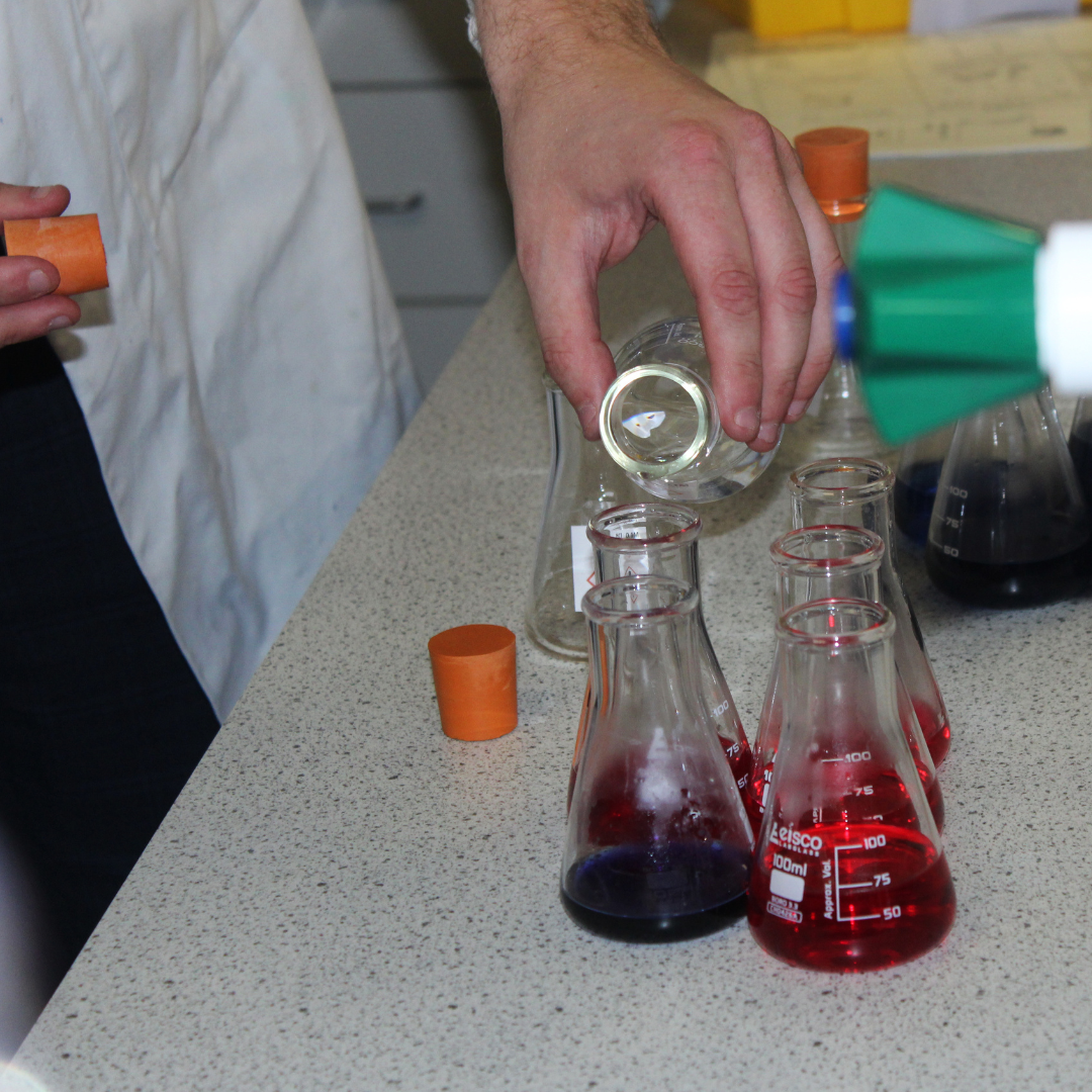 Image shows flasks containing different coloured liquid in a science taster lesson