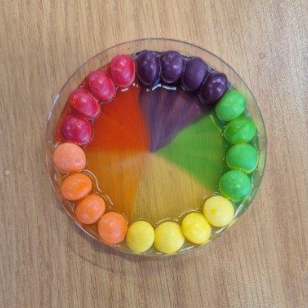 Petri dish with Skittles arranged around the edge as coloured sugar begins to dissolve and spread inward, forming distinct red, orange, yellow, green and purple sections.