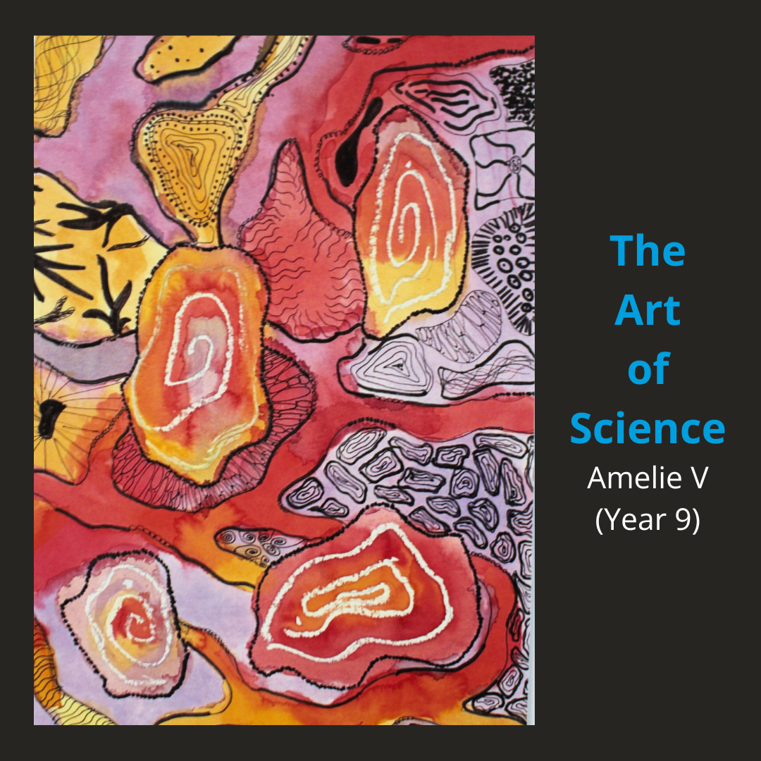 Image shows a new postcard design by pupil Amelie V from the theme the art of science