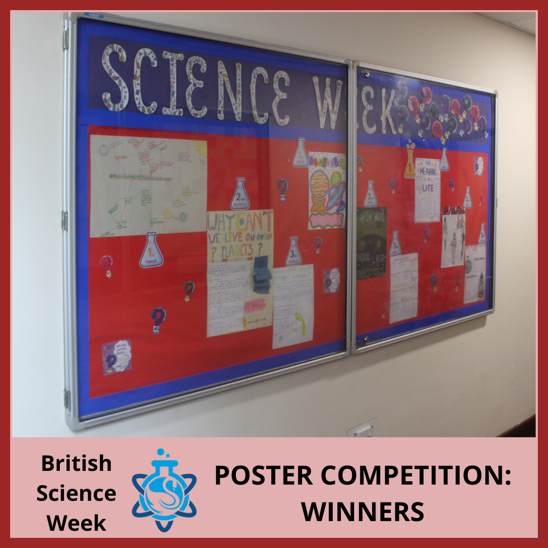 Display board in S Block showcasing winning British Science Week poster competition entries exploring curiosity, science, nature and the Universe.