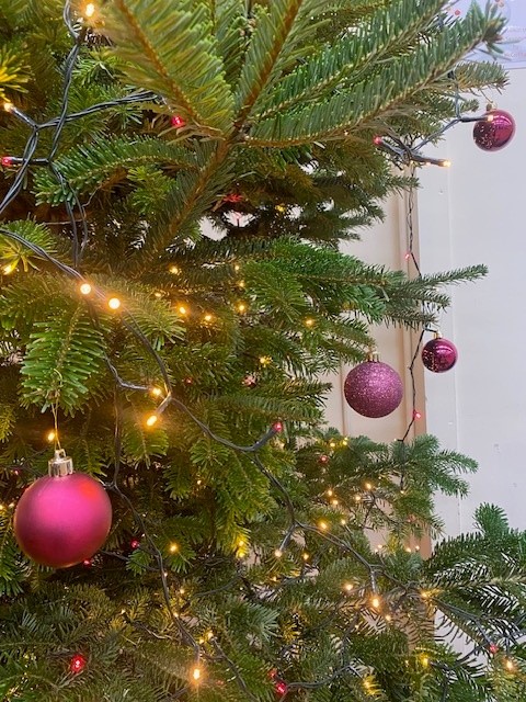 Image shows a close up of the 2024 Christmas tree