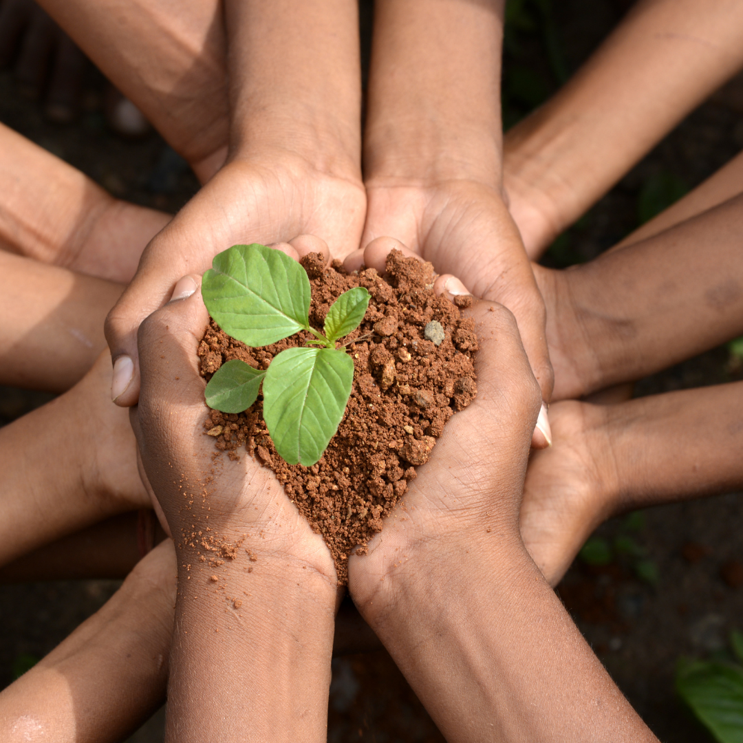Image shows a circle of hands holding a heart shaped pile of loose earth with a young plant growing in it