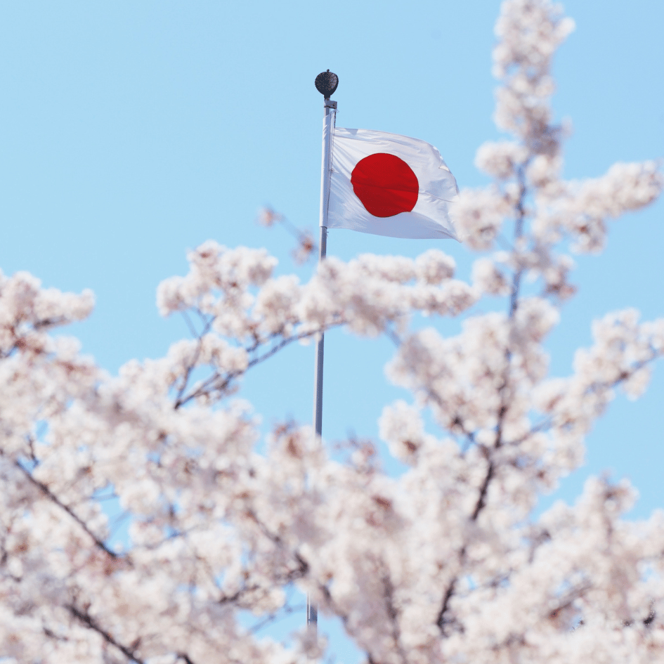 Image shows a Japanese flag blowing in the wind against a blue sky, with cherry blossoms on the foreground